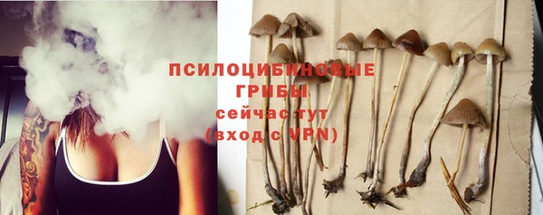 ГАЛЛЮЦИНОГЕННЫЕ ГРИБЫ Белая Холуница