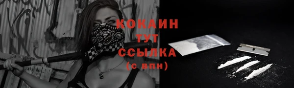 винт Белокуриха