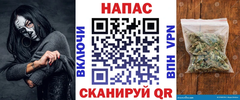 Конопля план  цена   блэк спрут вход  Дигора 